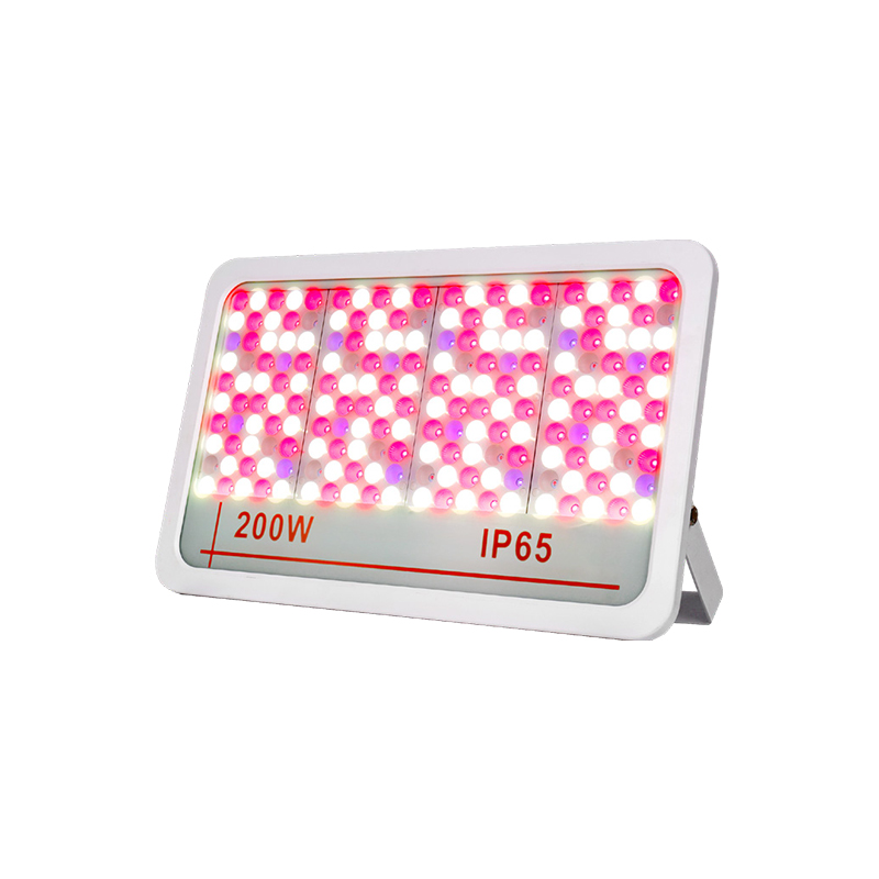 Led Led Flood Light