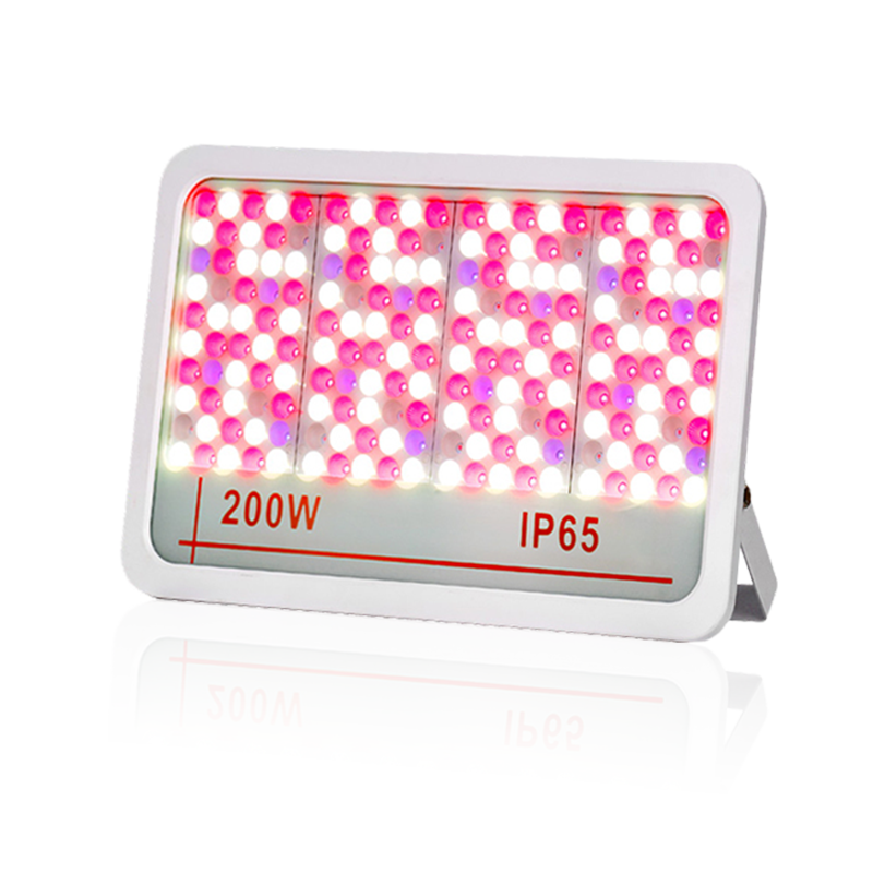 Led Led Flood Light